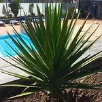 Blue Dream Playa Apartamento