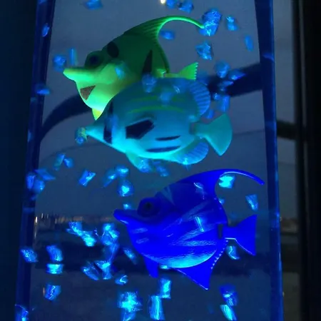 아파트 Blue Dream Playa 코라레호