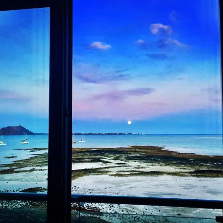 Blue Dream Playa * 코라레호