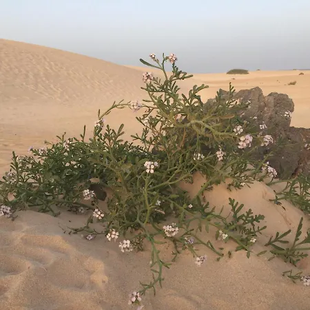 Blue Dream Playa Appartement Corralejo
