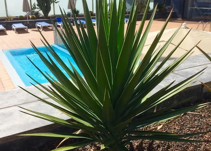 Blue Dream Playa Appartement